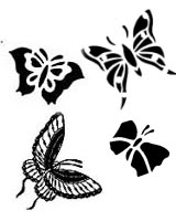 Butterflies