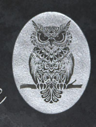 Detailed owl image