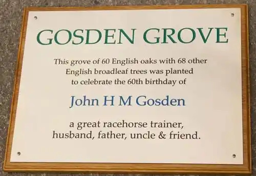 Engraved brass plaque in several colours Large Engraved Plaque