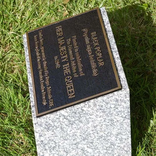 Bronze Memorial on Granite Plinths