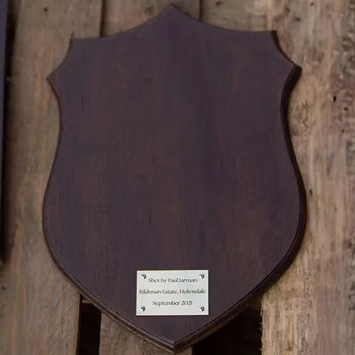 Dark Oak Shield With Plaque