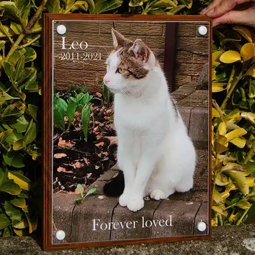 This photo memorial was mounted on a backing board. Full Colour Photo Memorial