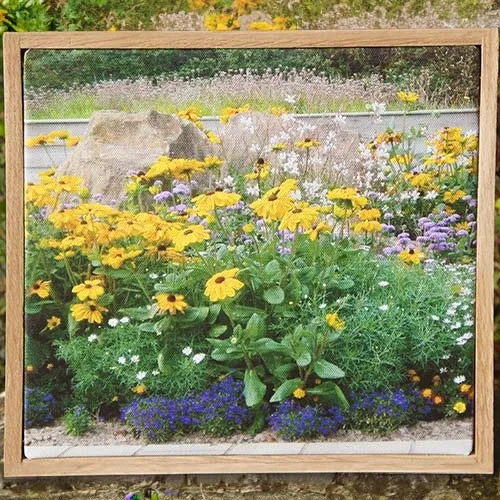 These can be made to any size. Framed Canvas Print