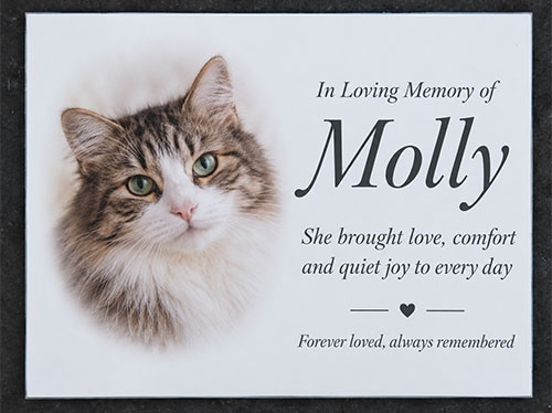 Good Value Photo Memorials Full Colour Memorial Plaque