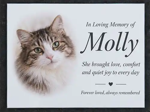 Uv Print on aluminium Composite Board Full Colour Memorial Plaque