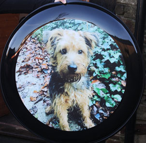 Dog Wheelcover