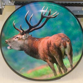 New Stag Wheelcover