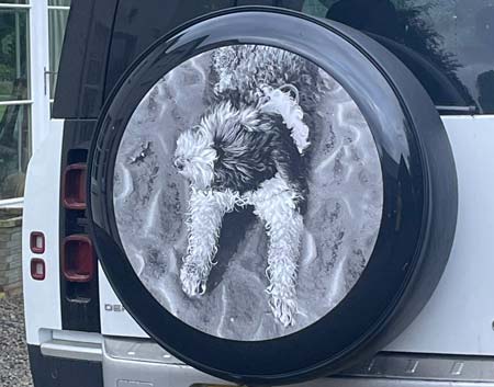 Customers wheel cover on her Defender.